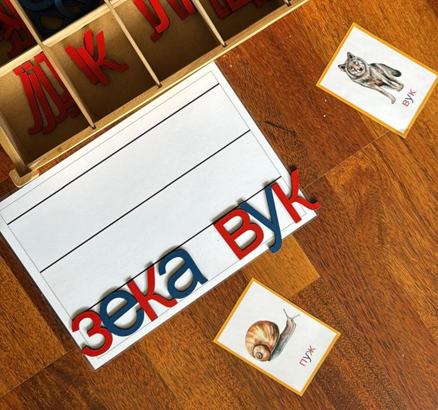 Montesori kartice - priprema za čitanje i pisanje