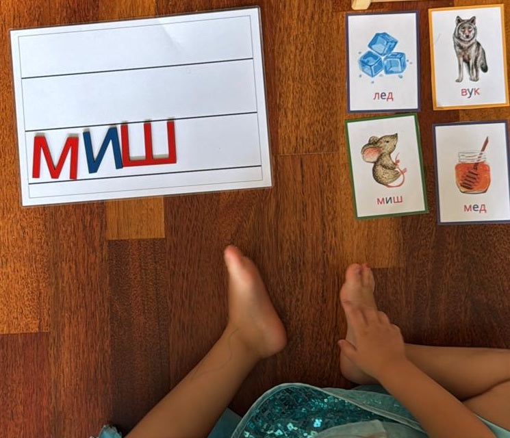 Montesori kartice - priprema za čitanje i pisanje